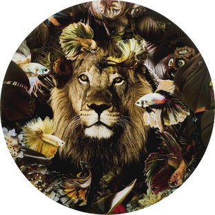 Glasbild Curious Lion Ø100cm – Grafik-1.
