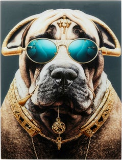 Glasbild Fashion Dog 60x80cm – Grafik-1.