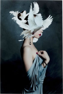 Glasbild Mother of Doves 80x120cm – Grafik-1.
