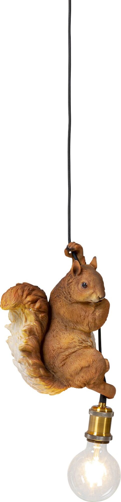 Hängeleuchte Animal Squirrel 20cm – Grafik-1.