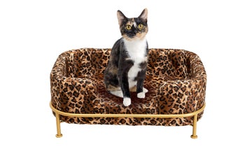 Hunde/Katzenbett Diva Leo – Grafik-1.