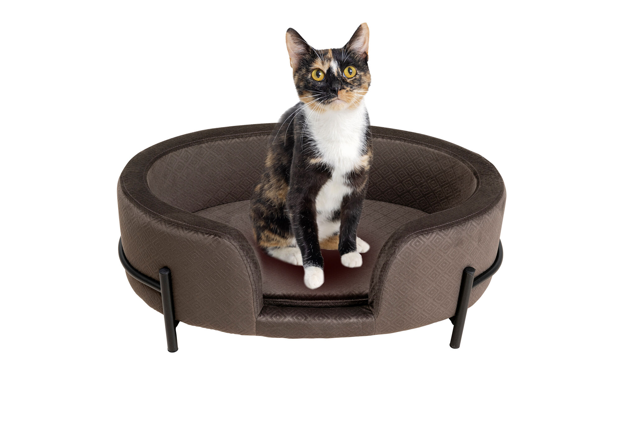 Hunde/Katzenbett Dream Day Grau – Grafik-1.