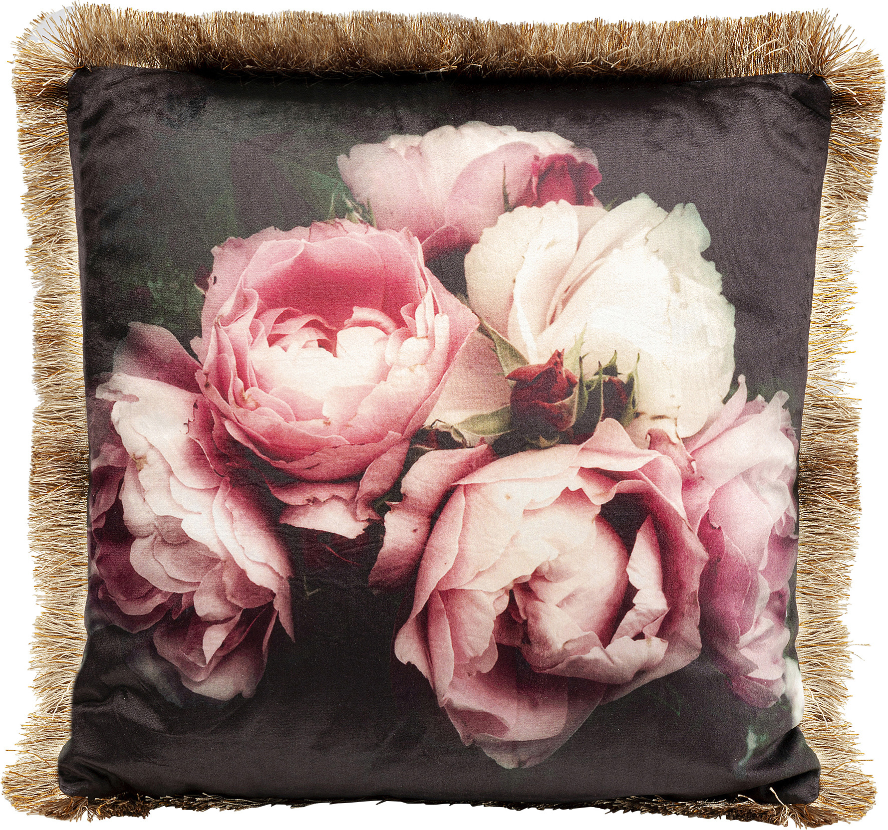 Kissen Blush Roses 45x45
