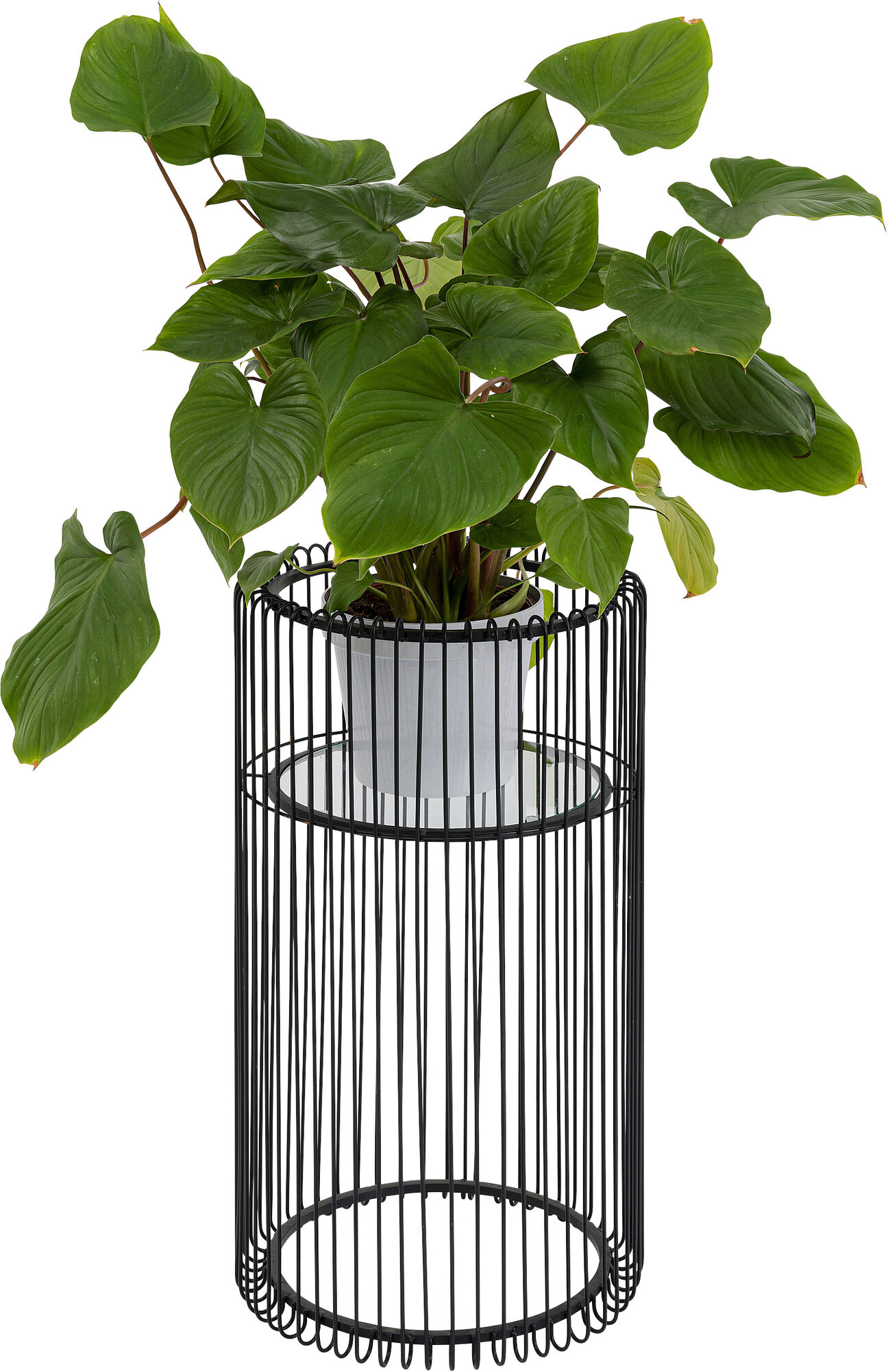 Pflanzenständer Wire Schwarz 70cm – Grafik-1.