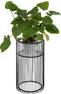 Pflanzenständer Wire Schwarz 70cm – Grafik-1.