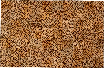 Teppich Leo Square 170x240cm – Grafik-1.