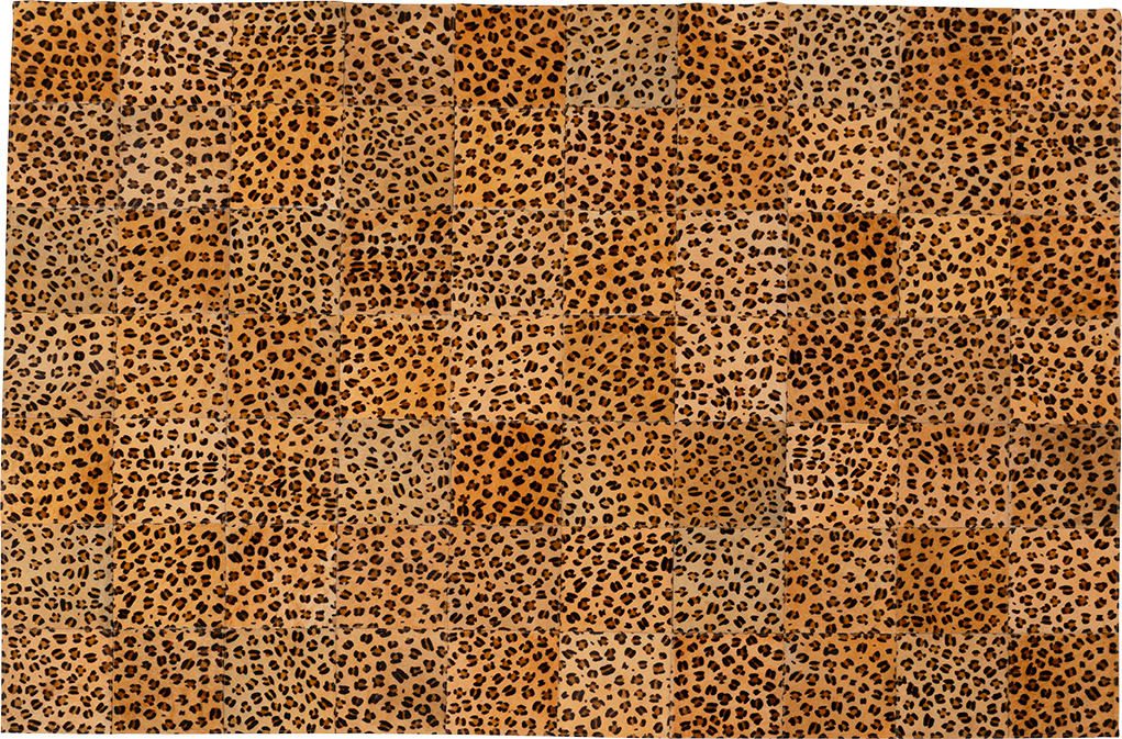 Teppich Leo Square 170x240cm