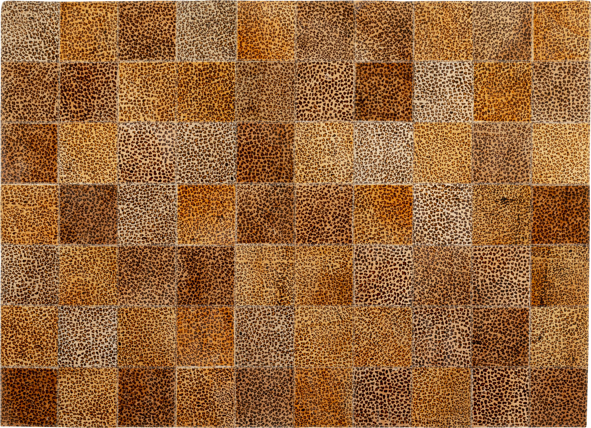 Teppich Leo Square 200x300cm – Grafik-1.