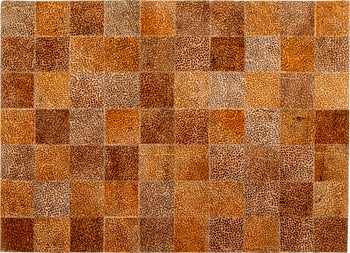 Teppich Leo Square 200x300cm – Grafik-1.