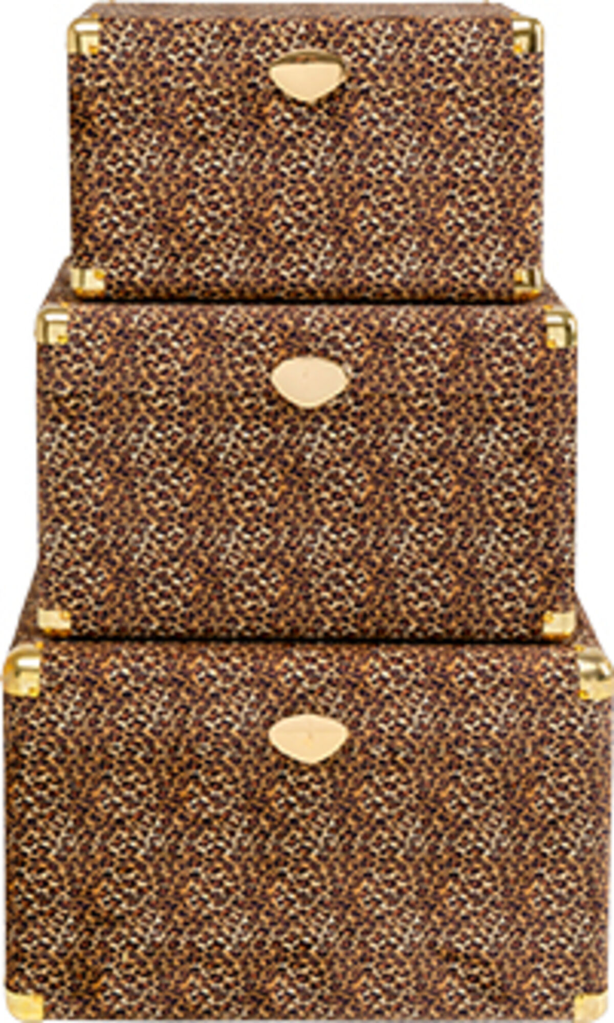 Truhe Wild Animal Leo (3/Set) – Grafik-1.