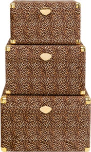 Truhe Wild Animal Leo (3/Set) – Grafik-1.