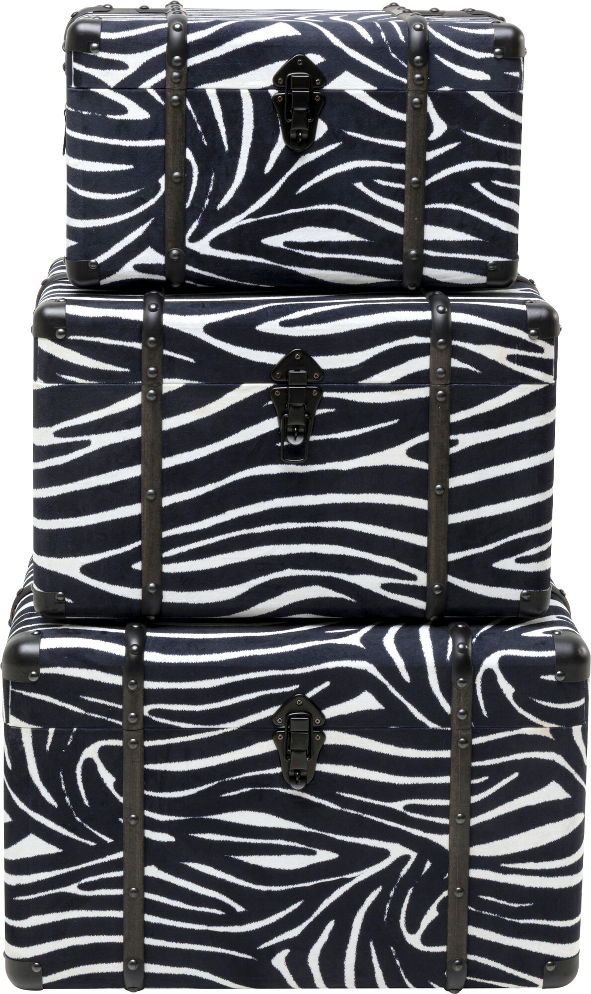 Truhe Wild Animal Zebra (3/Set) – Grafik-1.