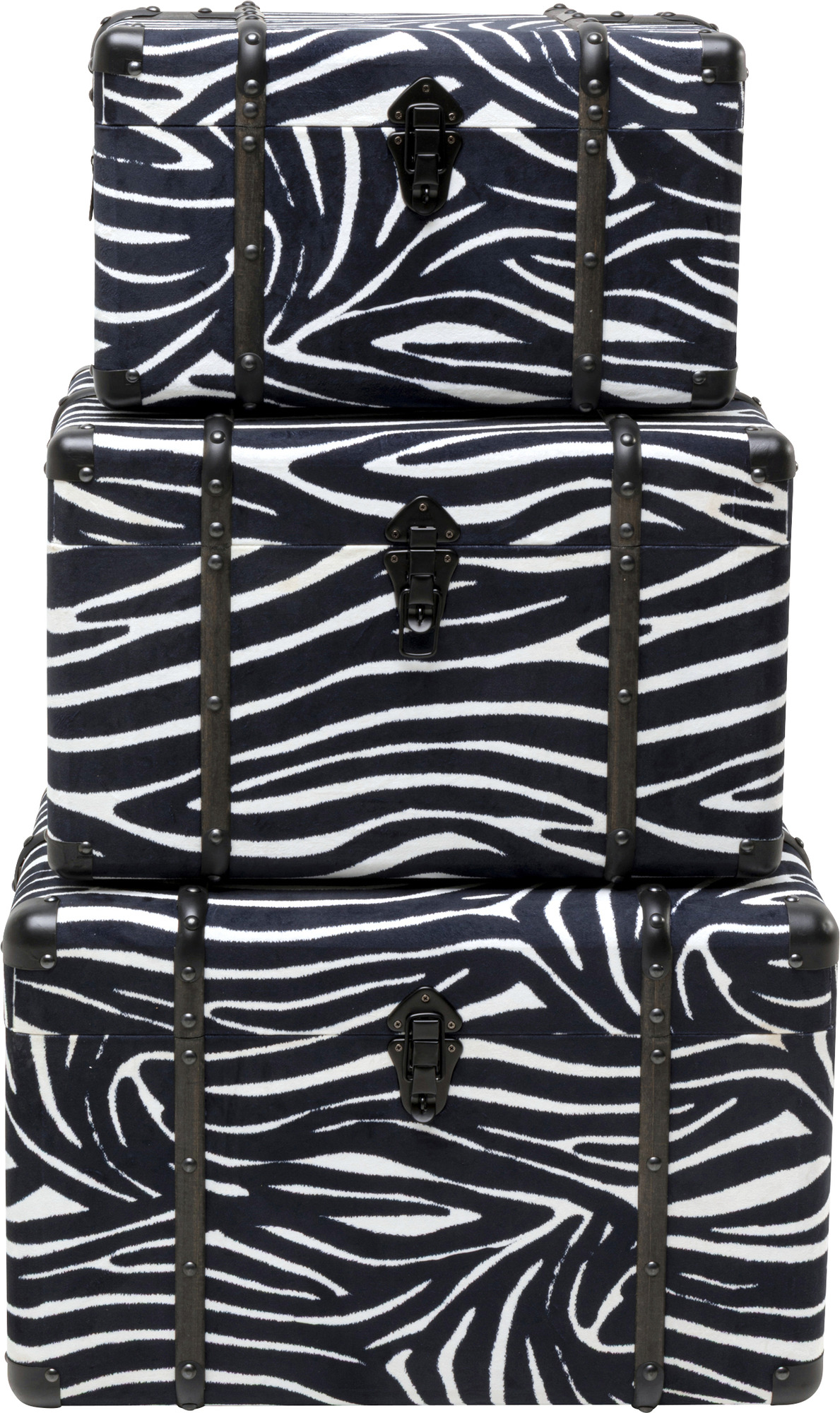 Truhe Wild Animal Zebra (3/Set)