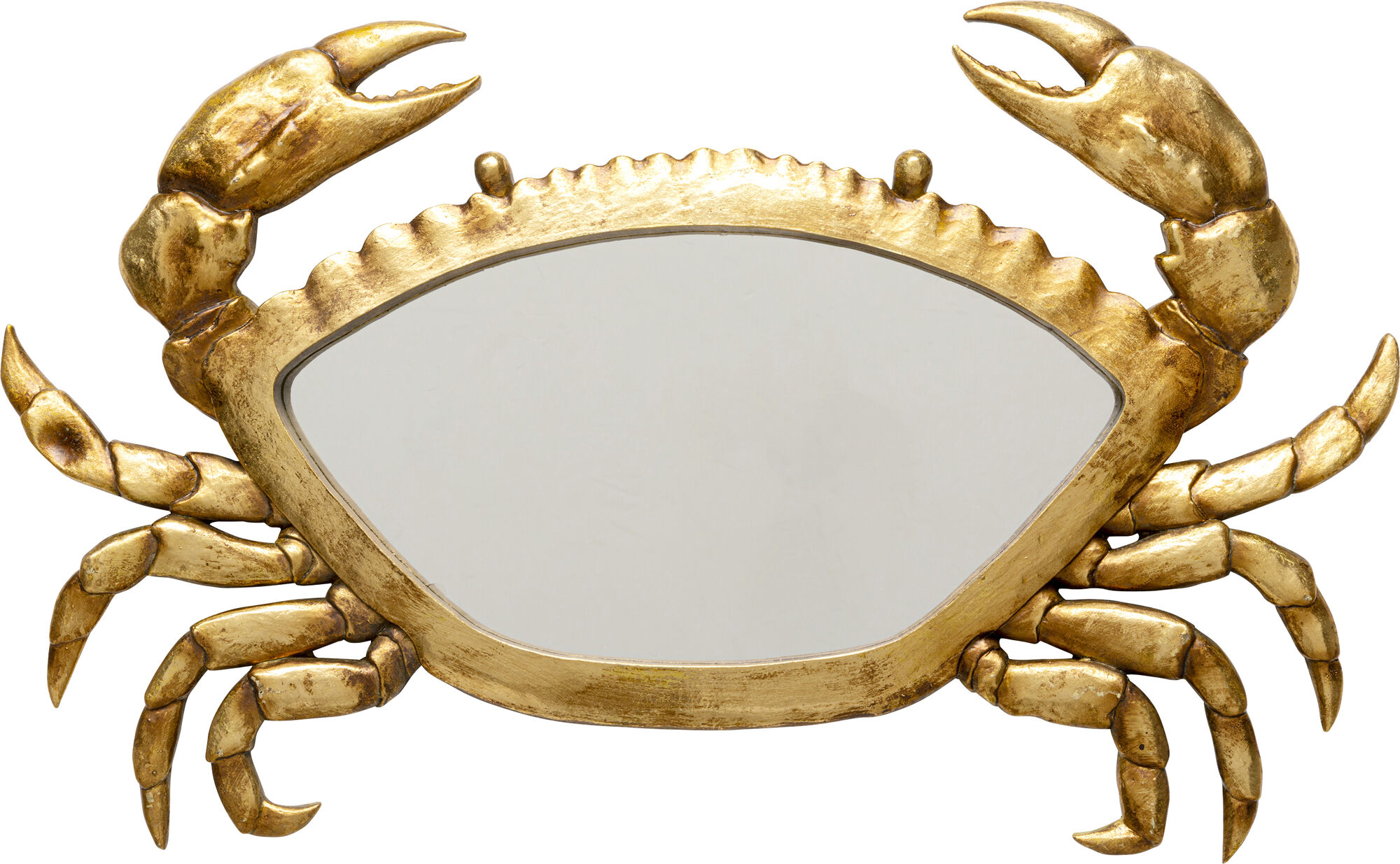 Wandobjekt Crab Mirror 57x34cm – Grafik-1.