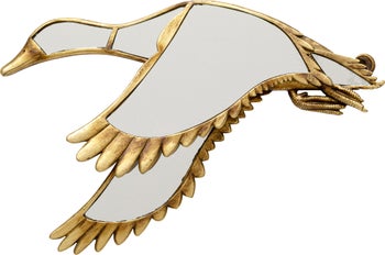 Wandobjekt Duck Mirror 37x24cm – Grafik-1.