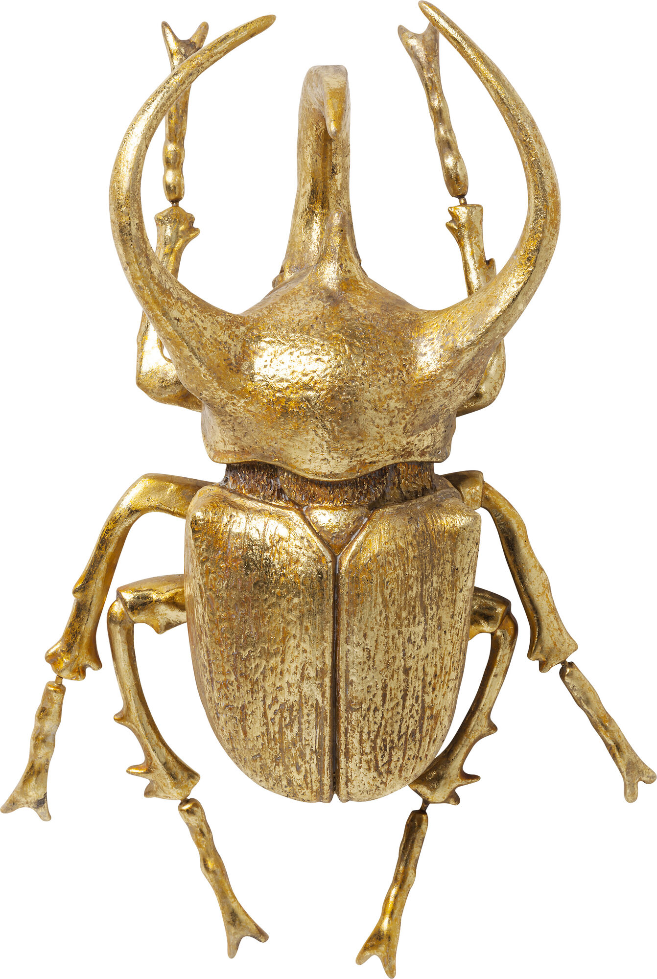 Wandschmuck Atlas Beetle Gold – Grafik-1.