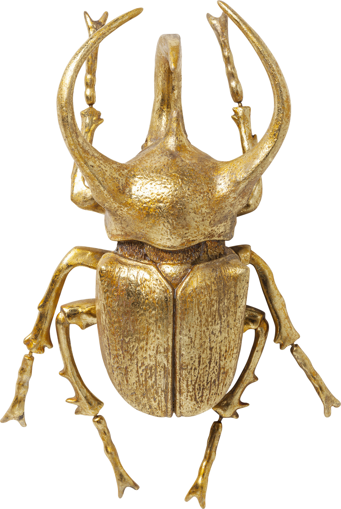 Wandschmuck Atlas Beetle Gold