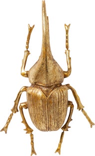 Wandobjekt Herkules Beetle Gold – Grafik-1.