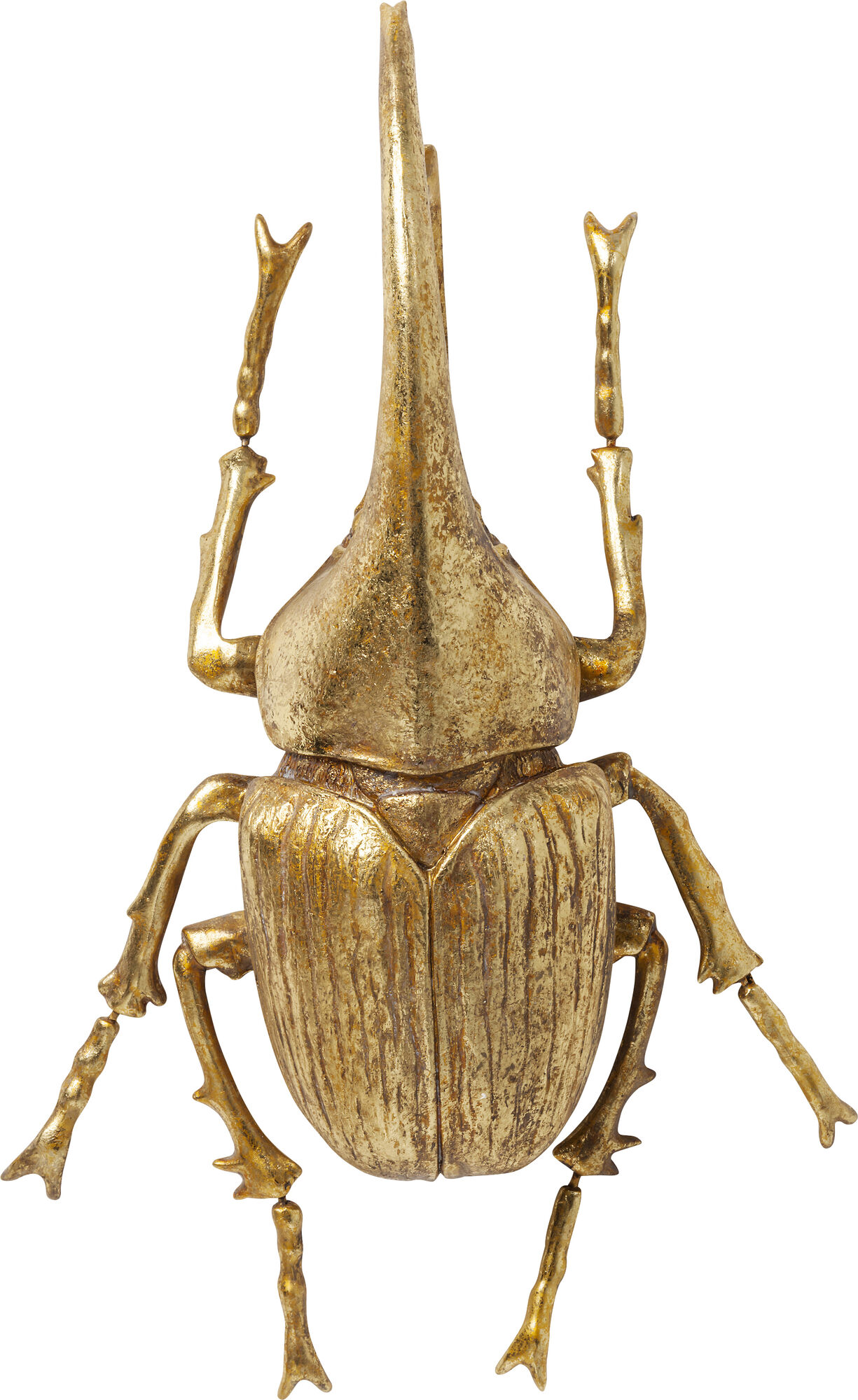 Wandobjekt Herkules Beetle Gold – Grafik-1.