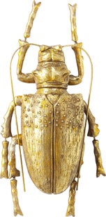 Wandschmuck Longicorn Beetle Gold – Grafik-1.